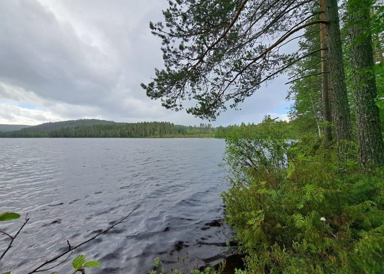 Harmaita sadepilviä taivaalla järven yllä, mantereen puolella kasvaa mäntyjä ja varpuja.