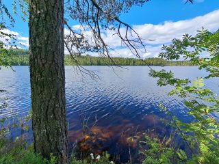 Maisema järvenselälle, rantavedestä kuultaa läpi kiviä.