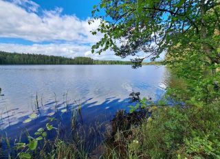 Näkymä järvelle, vastarannalla näkyy metsää. Taivaalla on valkoisia pilviä.