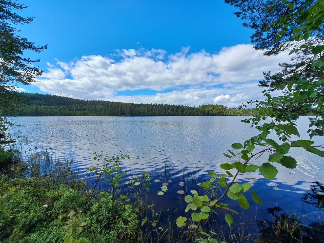Näkymä järvelle, vastarannalla näkyy metsää. Taivaalla on valkoisia pilviä.