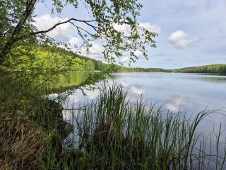 Järvimaisema rannalta, taivalla on pilviä jotka heijastuvat järven pinnasta.