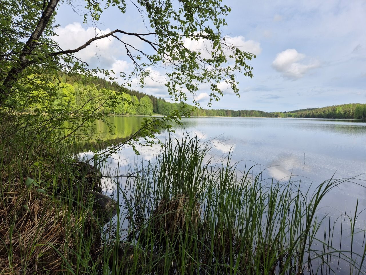 Järvimaisema rannalta, taivalla on pilviä jotka heijastuvat järven pinnasta.