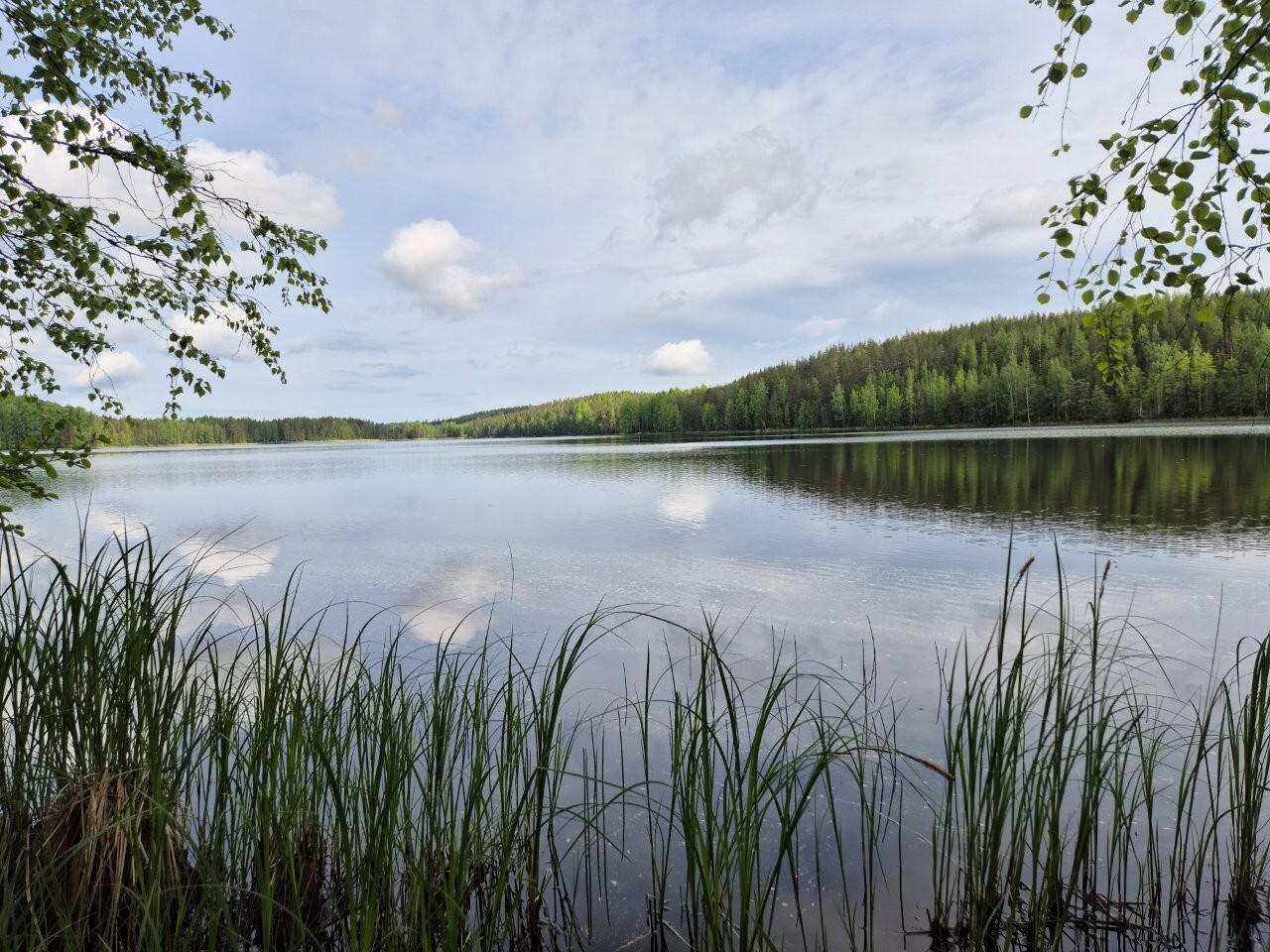 Tyyni järvi joka heijastaa taivaalla näkyviä pilviä. Etualalla on vesikasvillisuutta.