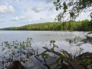 Näkymä vastarannalle, missä näkyy mökki. Rantavedessä on iso oksa.