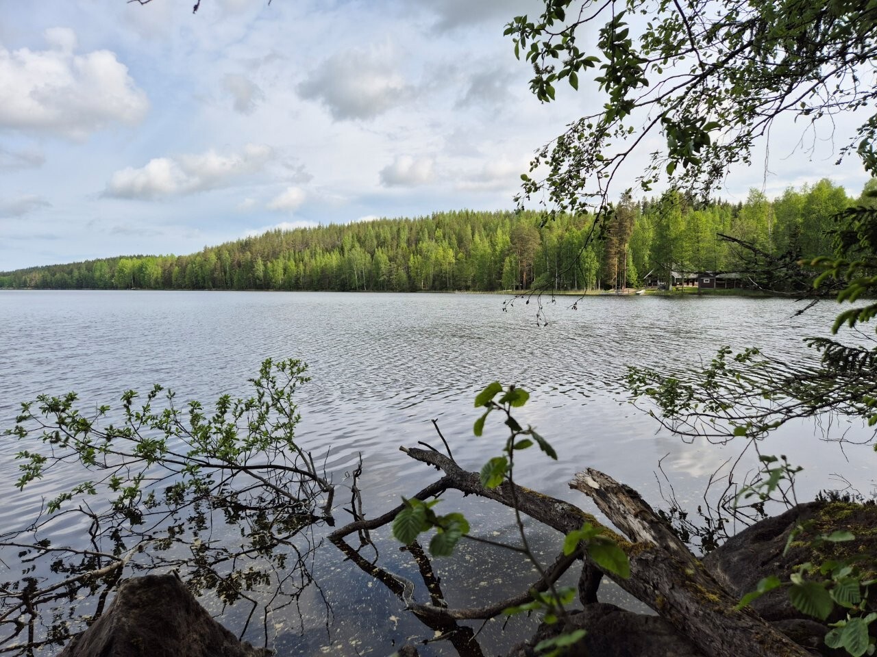 Näkymä vastarannalle, missä näkyy mökki. Rantavedessä on iso oksa.