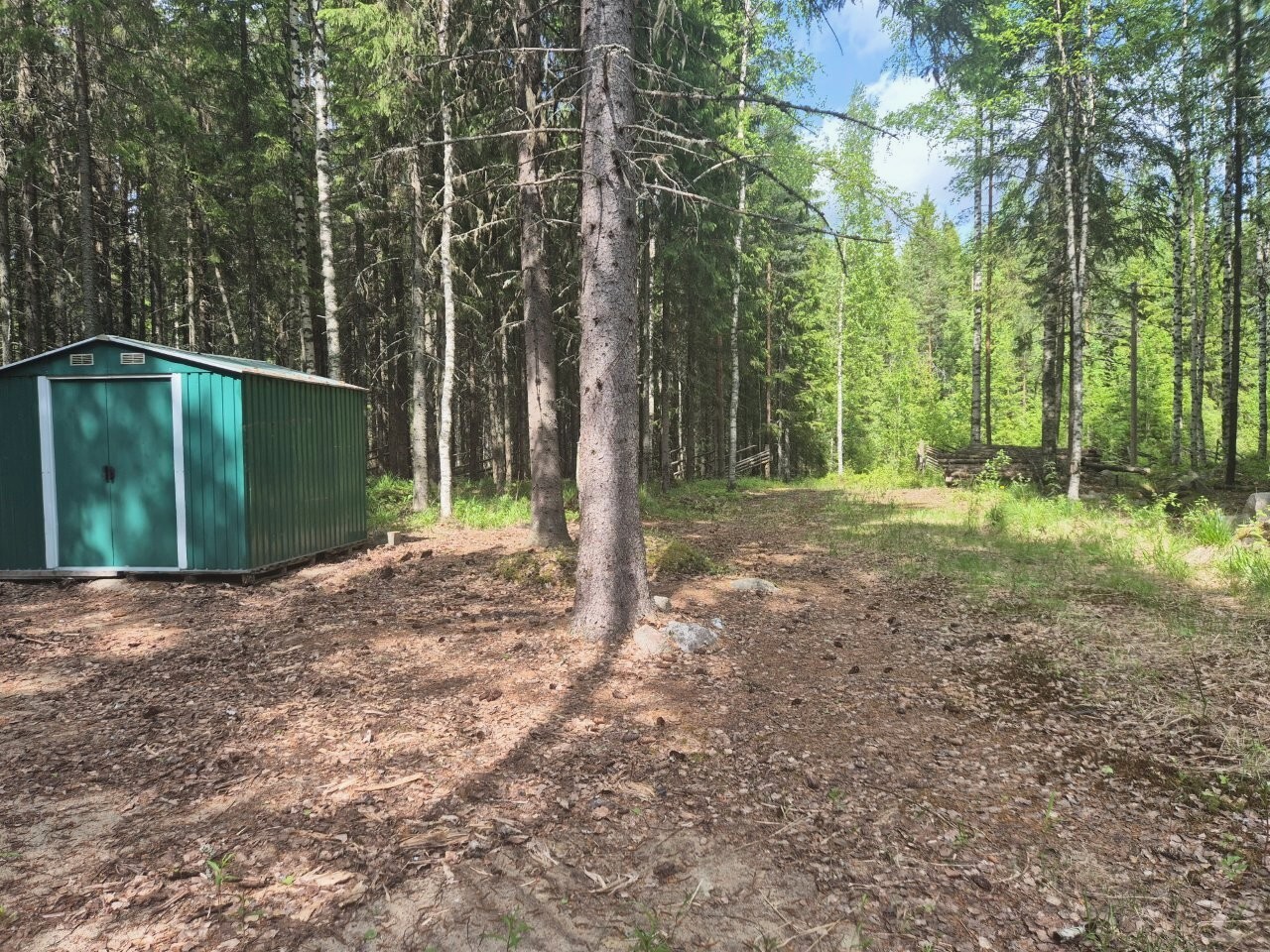 Peltivarasto ja tontin sisääntuloaukko, maassa on hiekkaa ja kuolleita lehtiä.