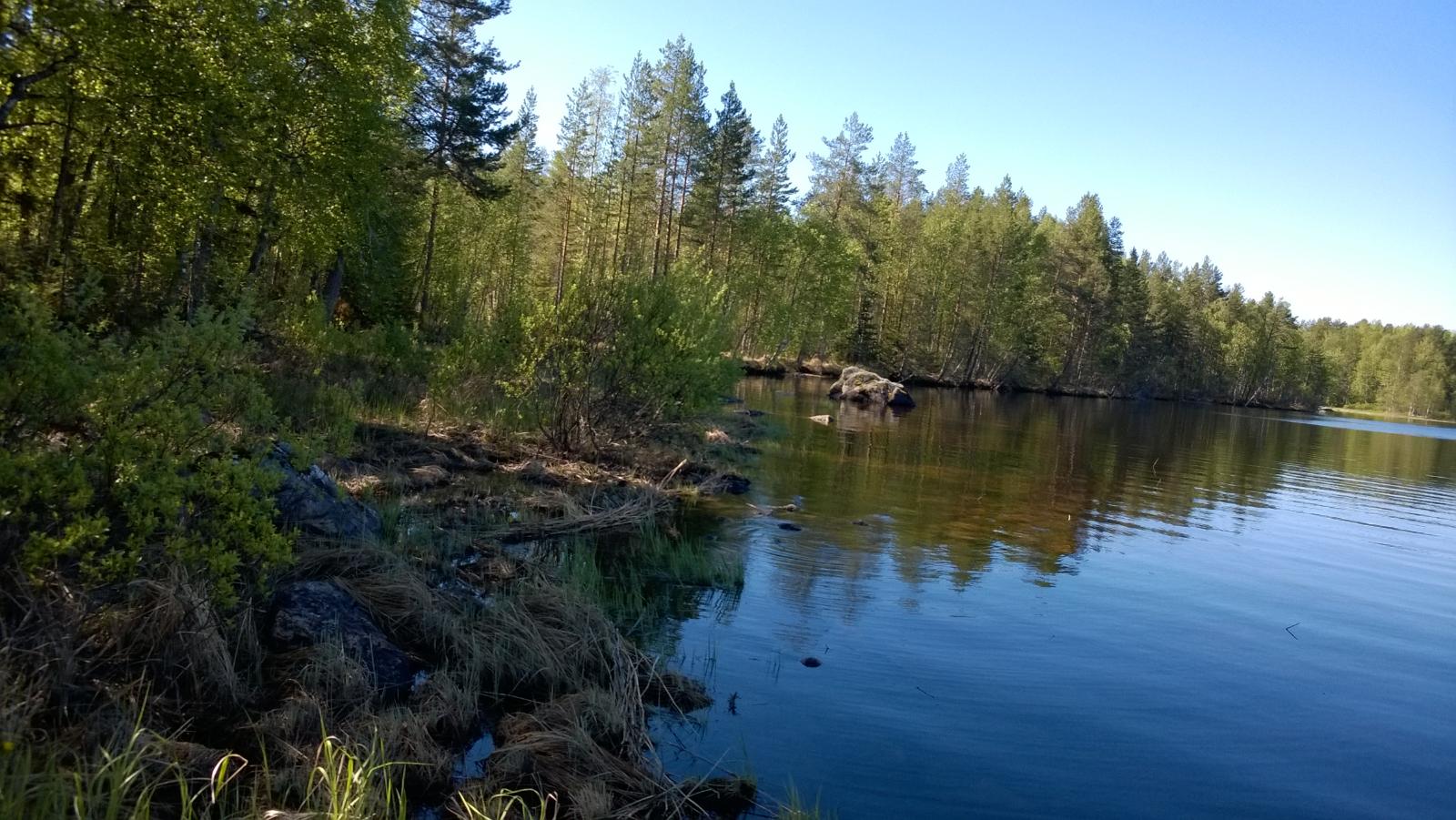 Rantaviivaa, rannassa lehtipuustoa