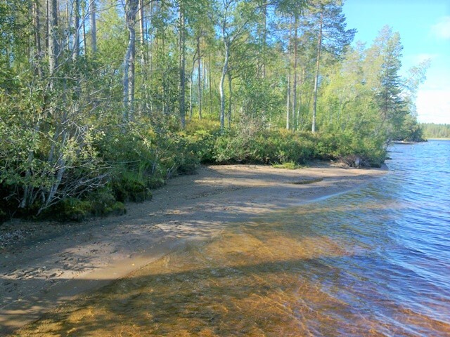 Järvimaisemassa hiekkainen ranta, jonka tuntumasta alkaa kesäinen sekametsä.