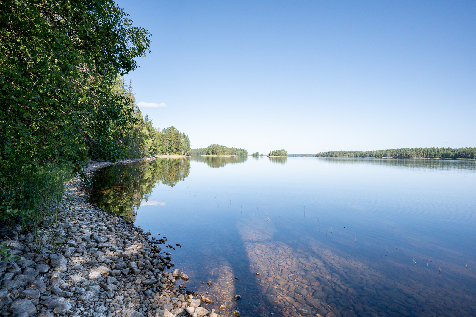 Tyyni järvi jonka ranta on kivinen, lehtipuun oksat työntyvät maisemaan rannalta.
