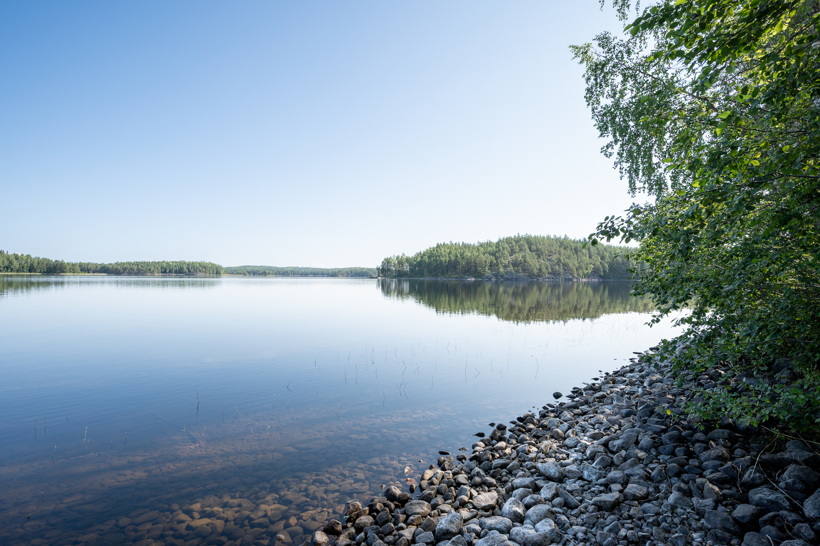Tyyni järvi jonka ranta on kivinen, lehtipuun oksat työntyvät maisemaan rannalta.