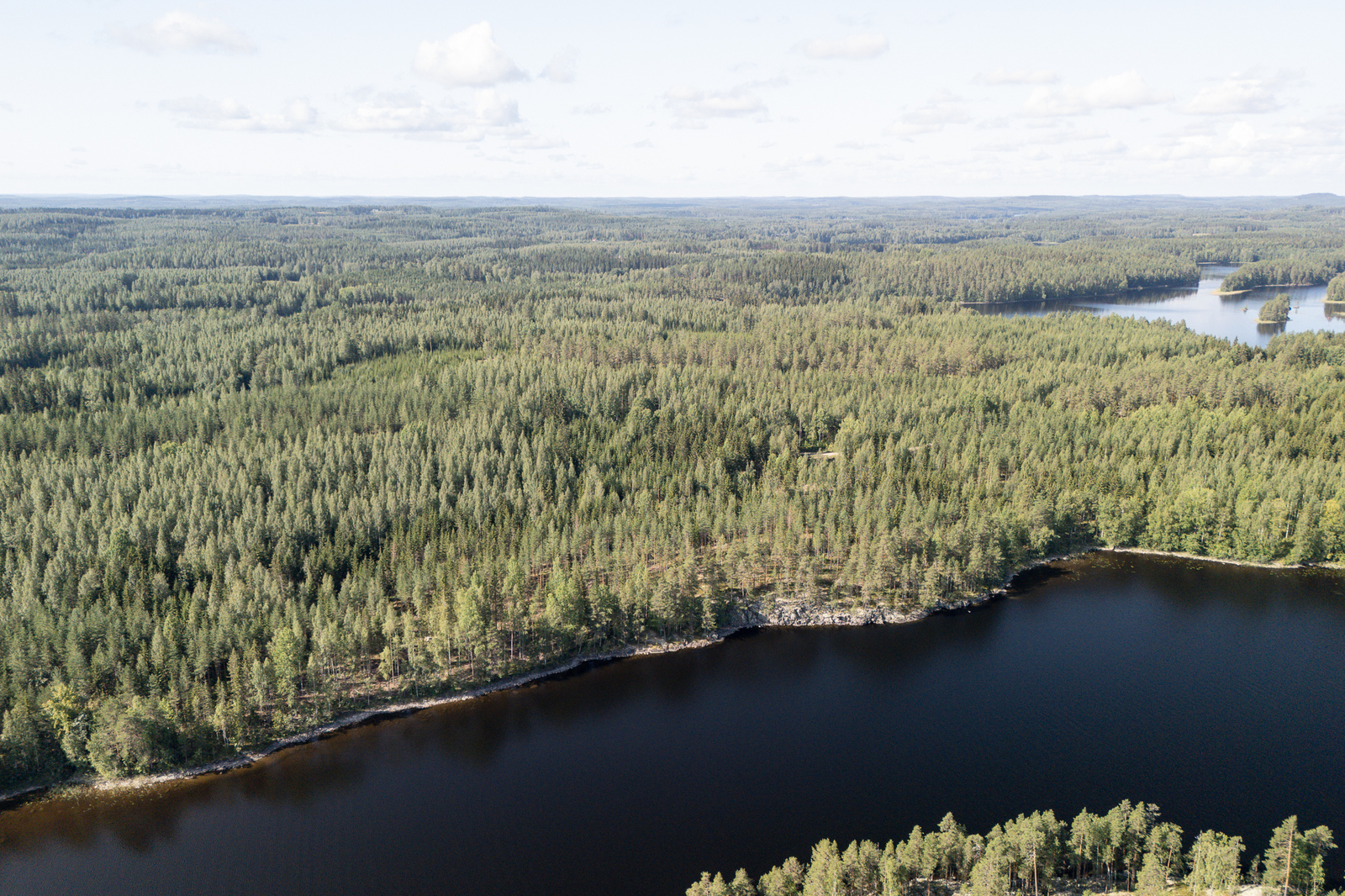 Ilmakuvassa silmänkantamattomiin metsää, ranta on kallioinen.
