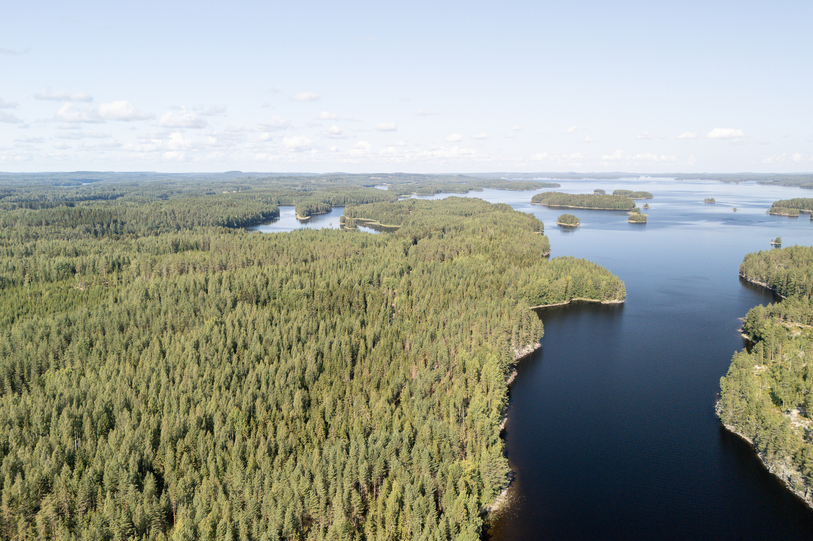 Ilmakuvassa metsää, järvi ja järvessä pilkottaa saaria.