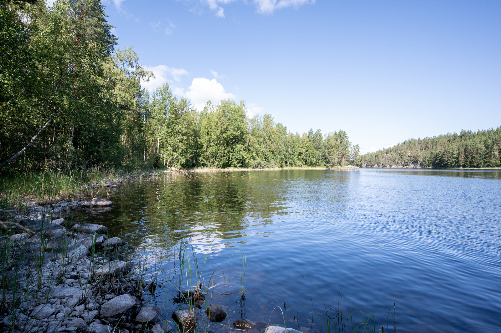 Järven ranta on kivinen, rannalla kasvaa lehitpuita.