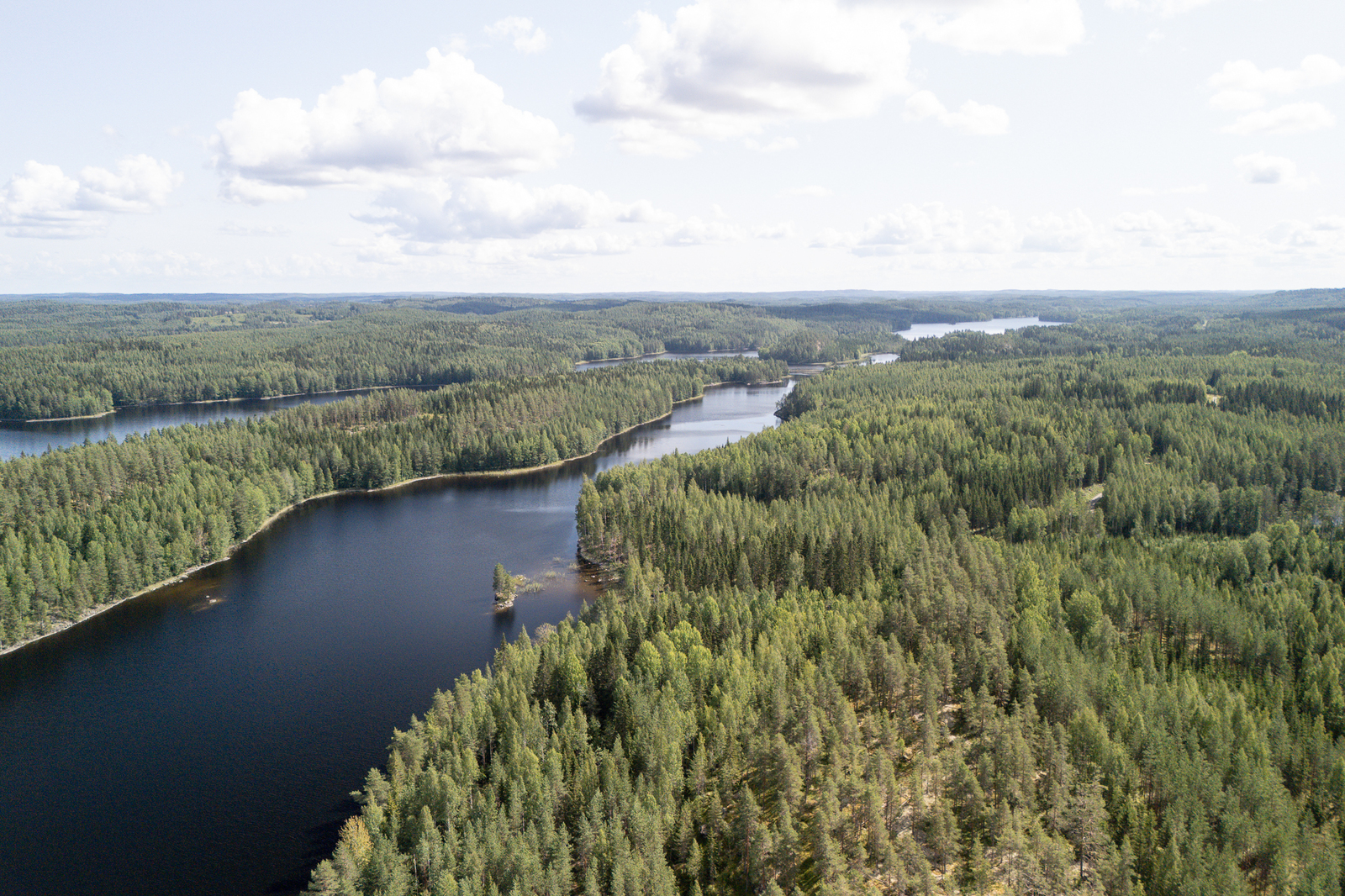Ilmakuvaa Pirttisalmesta, molemmilla puolilla salmea kasvaa rannalla rehevät metsät.