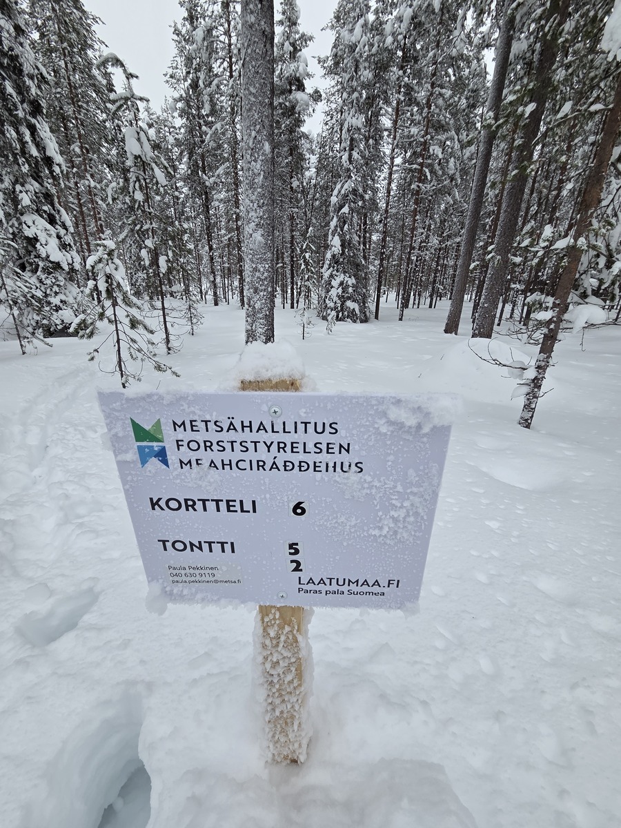 Talvikuva tontilta