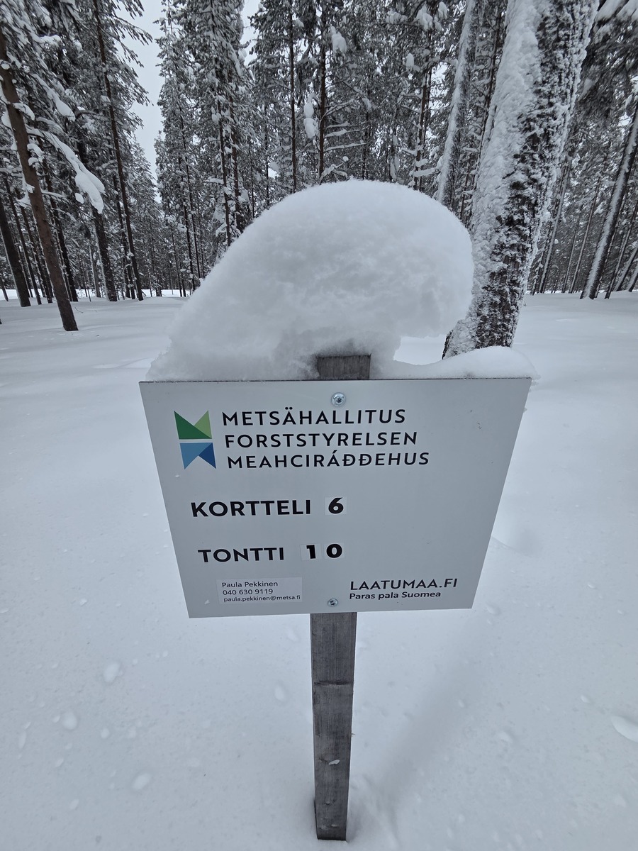 Talvikuva tontista.
