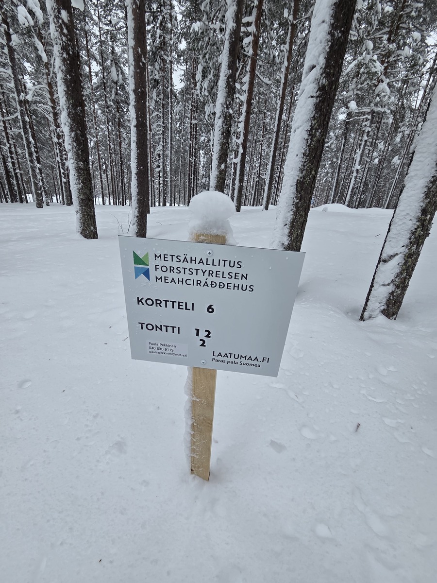 Talvikuva tontilta.