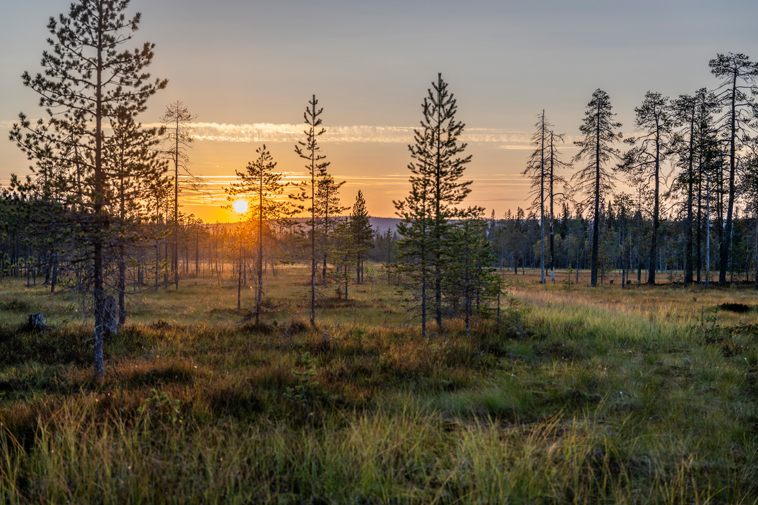 Yleiskuvaa Syötteeltä. Kesäkuva