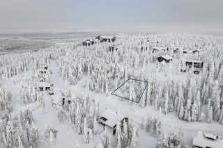 Ilmakuva tontista.