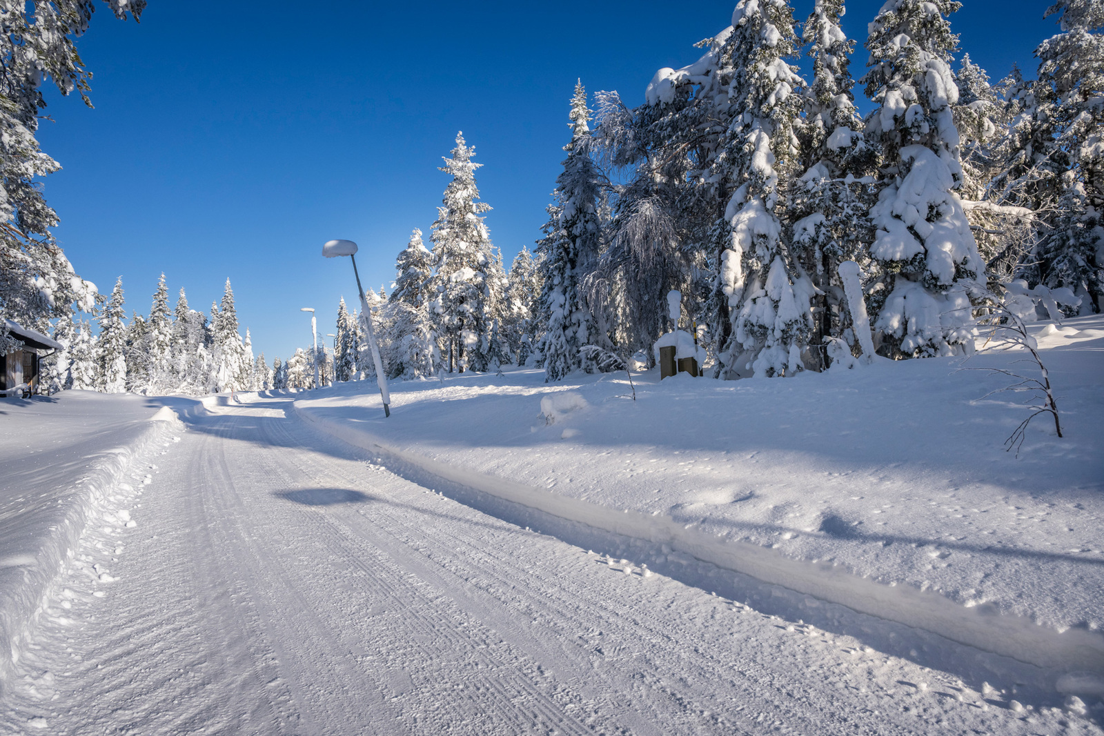 Tonttia tieltä päin.