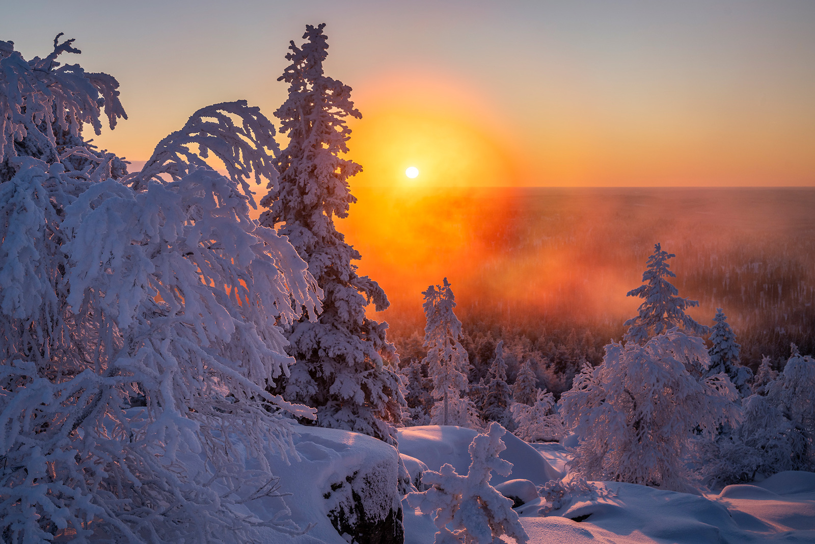 Pakkaspäivän aurinkoinen maisema.