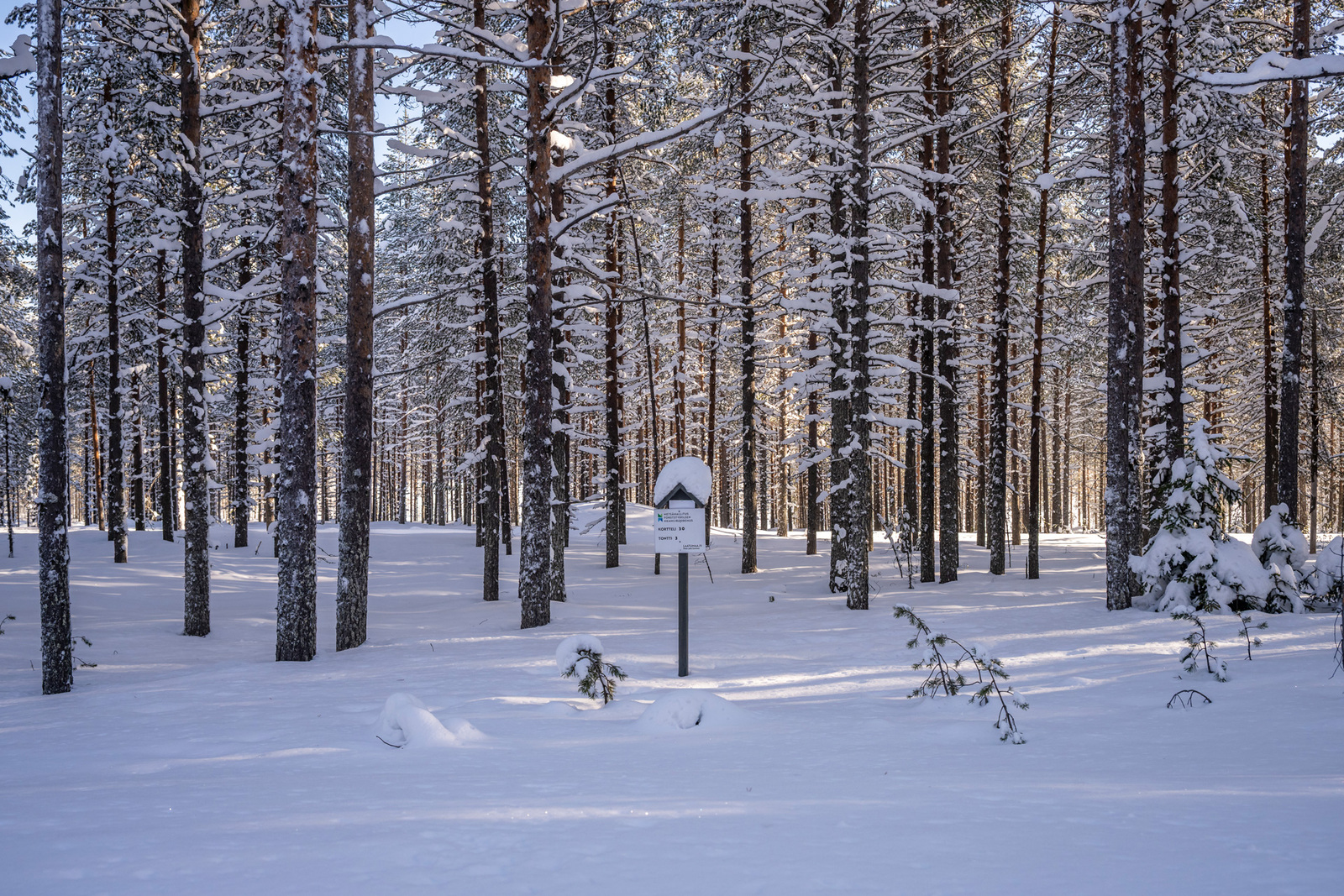 Talvinen kuva tontista tieltä päin.