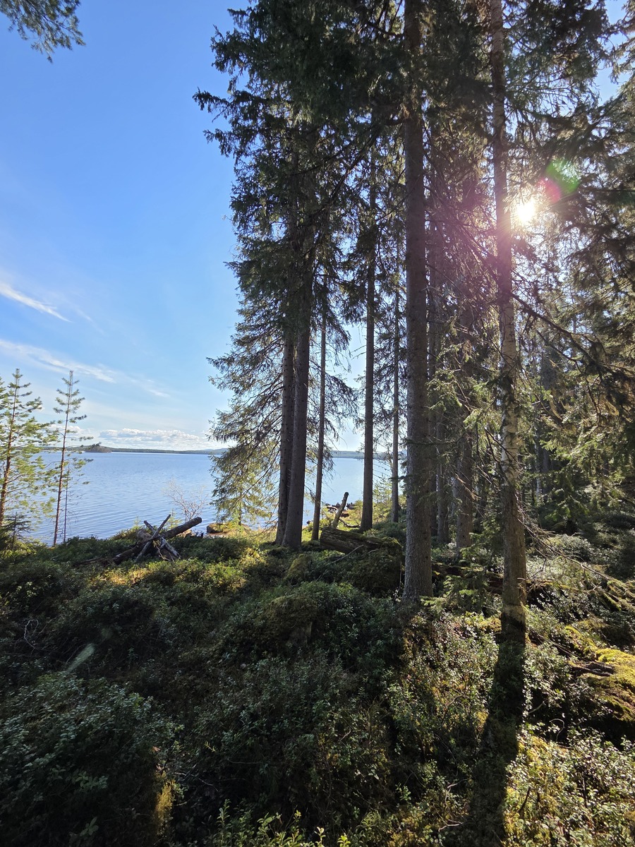 Kuva tontilta rantaan päin.