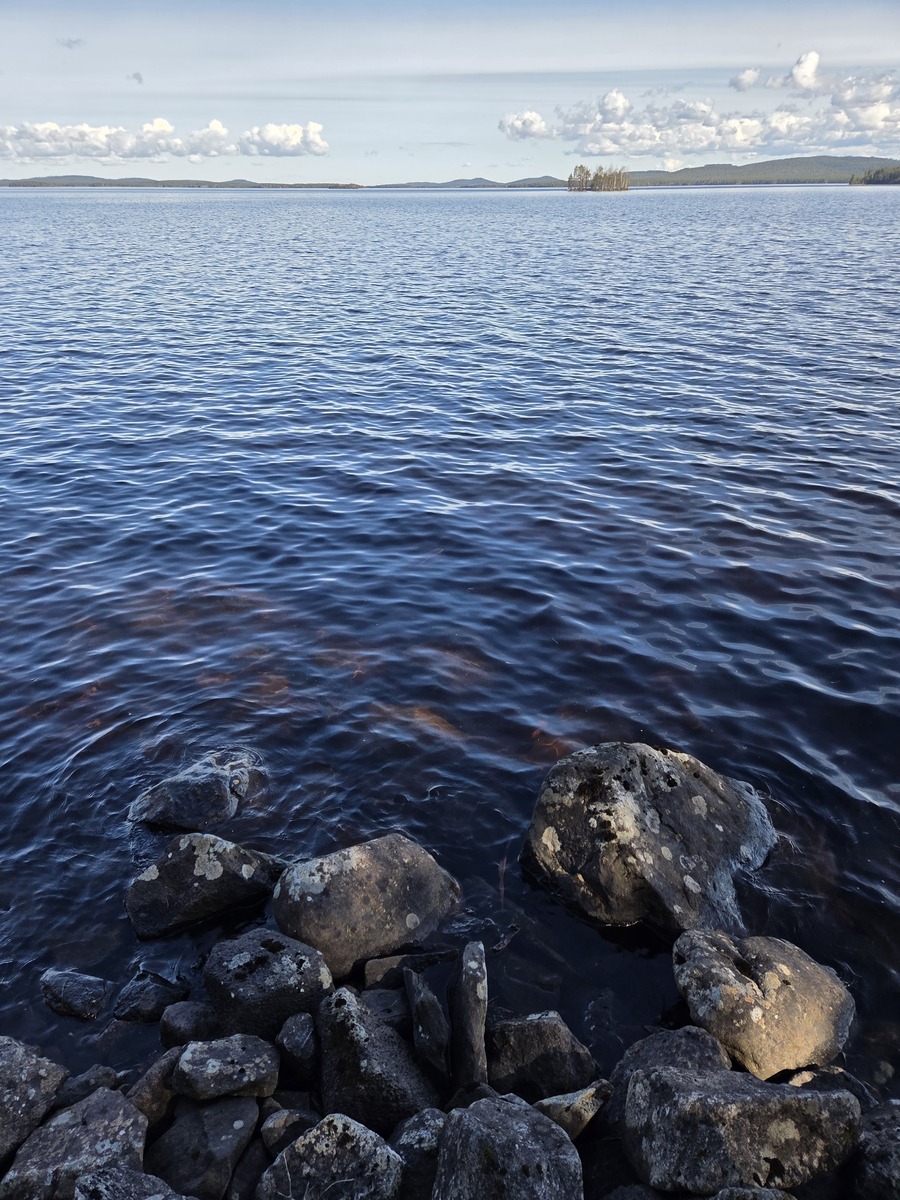 Kuva tontin rannasta järvelle. Kivinen ranta.