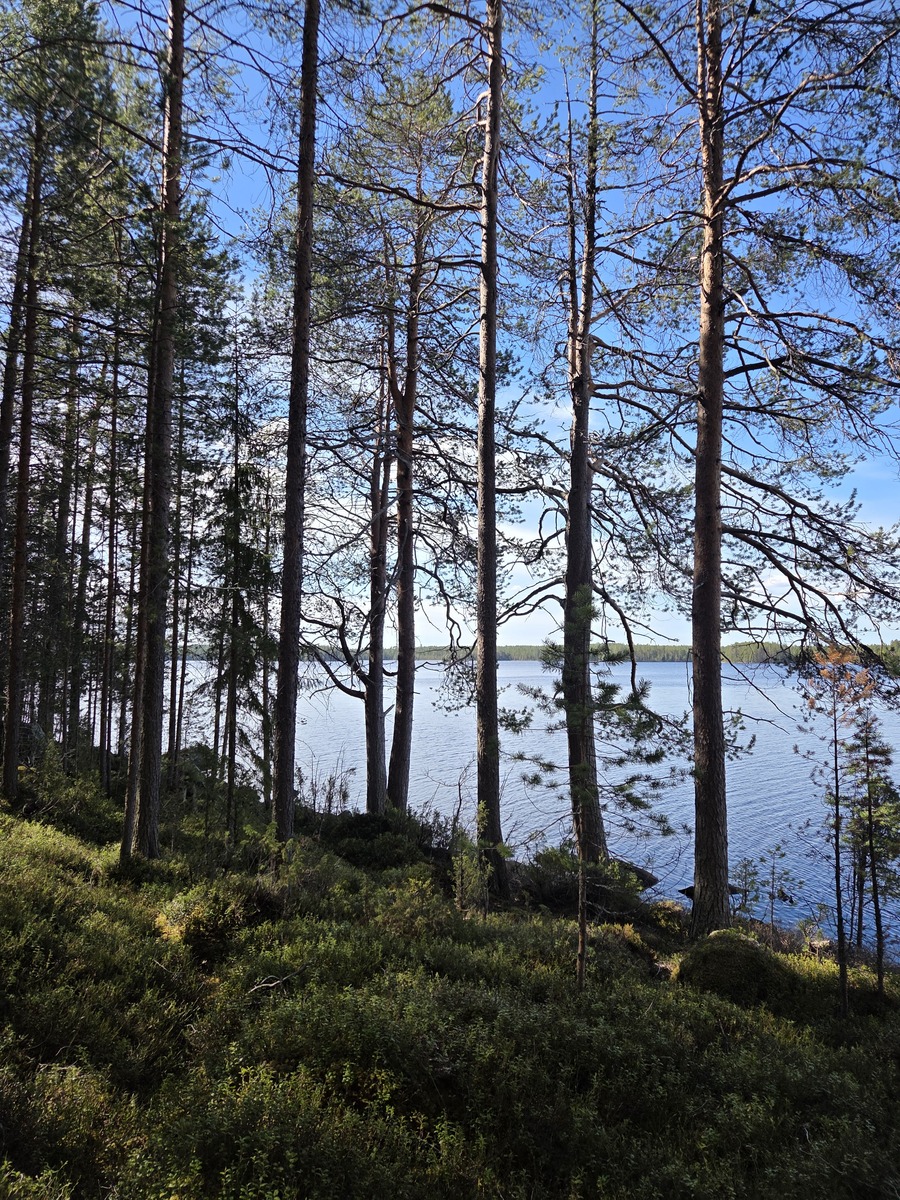 Tontilta kaunis näkymä järvelle.