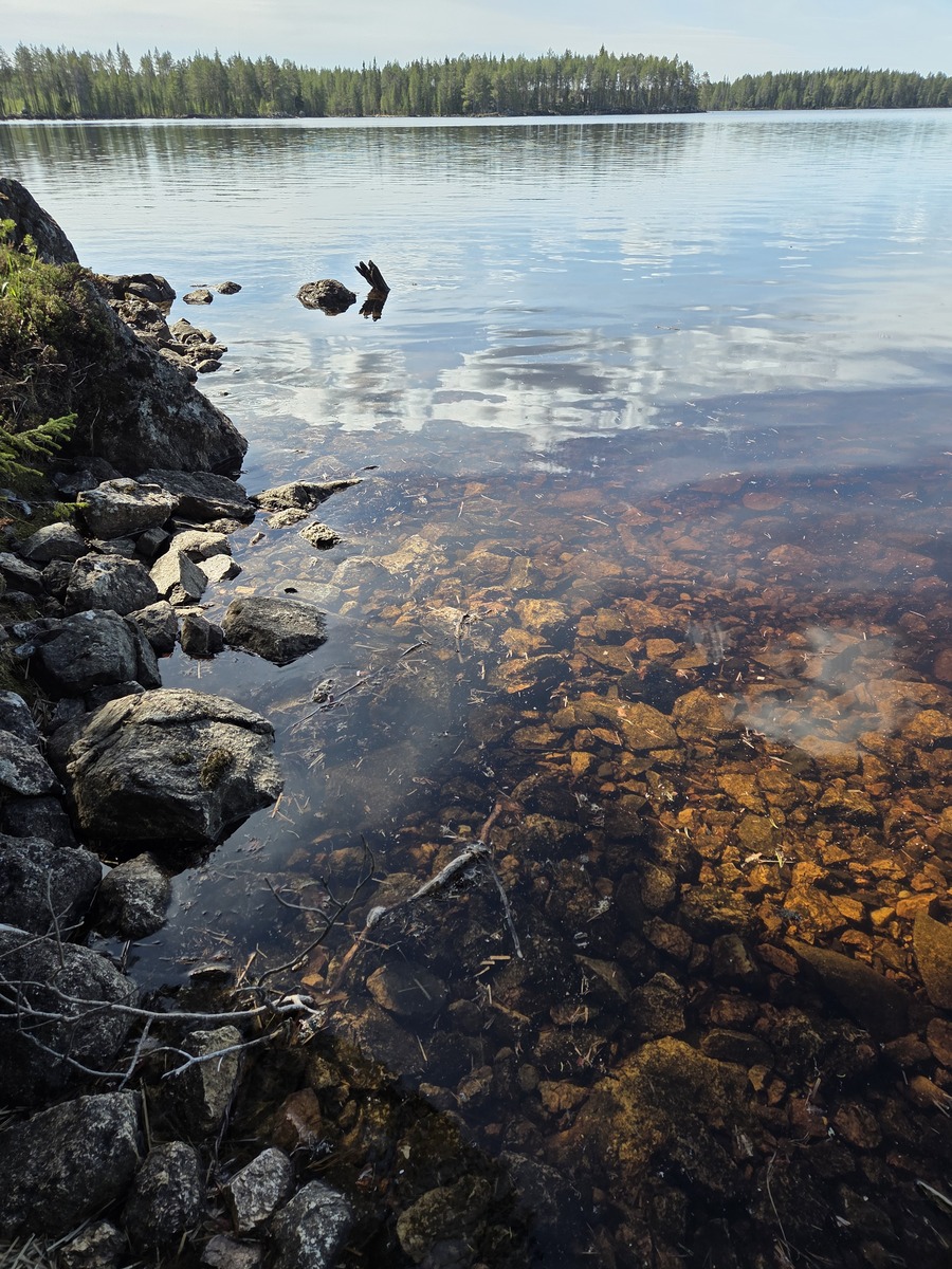 Tontin ranta sorapohjainen,