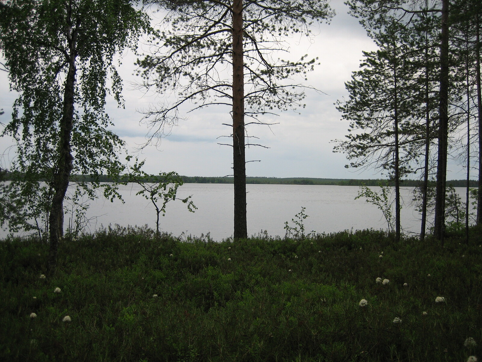 Tontin 6 näkymää rantaa kohti