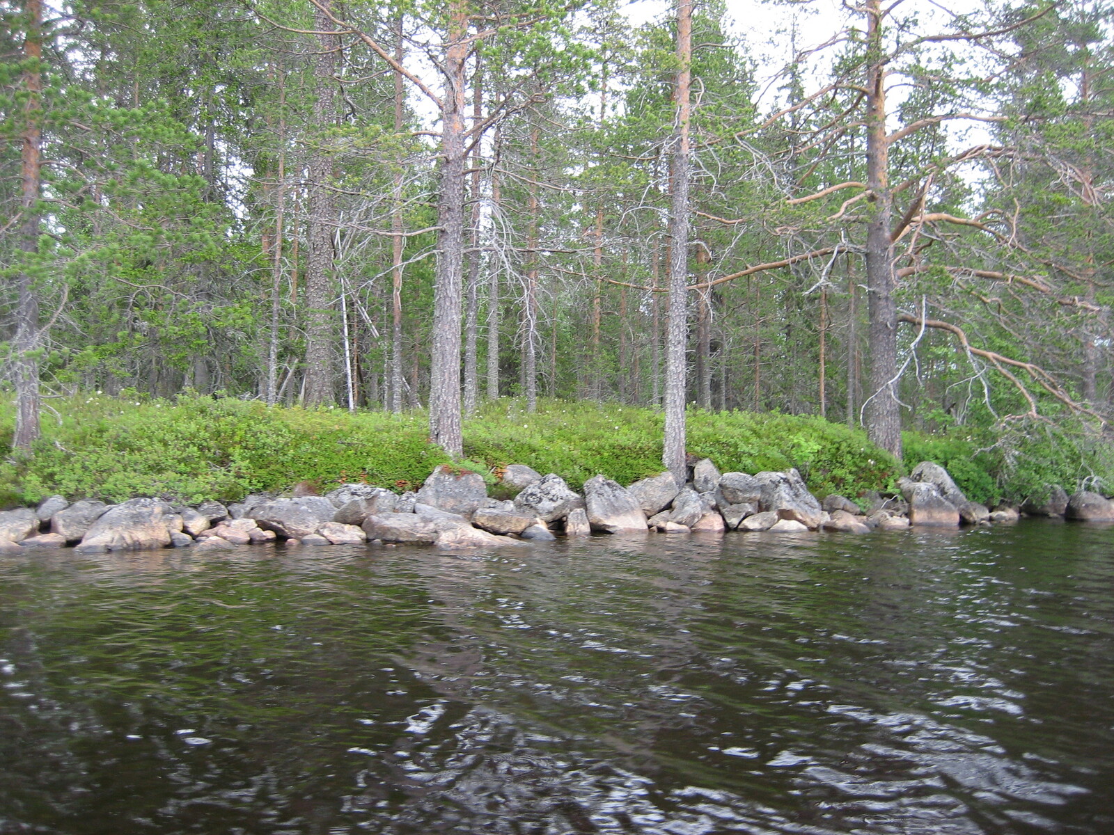 Tontin 7 rantaa vedestä päin