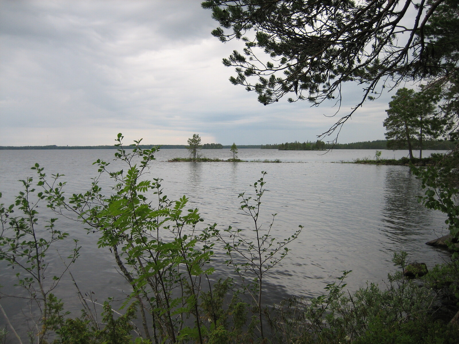 Tontin 7 näkymää Simojärvelle