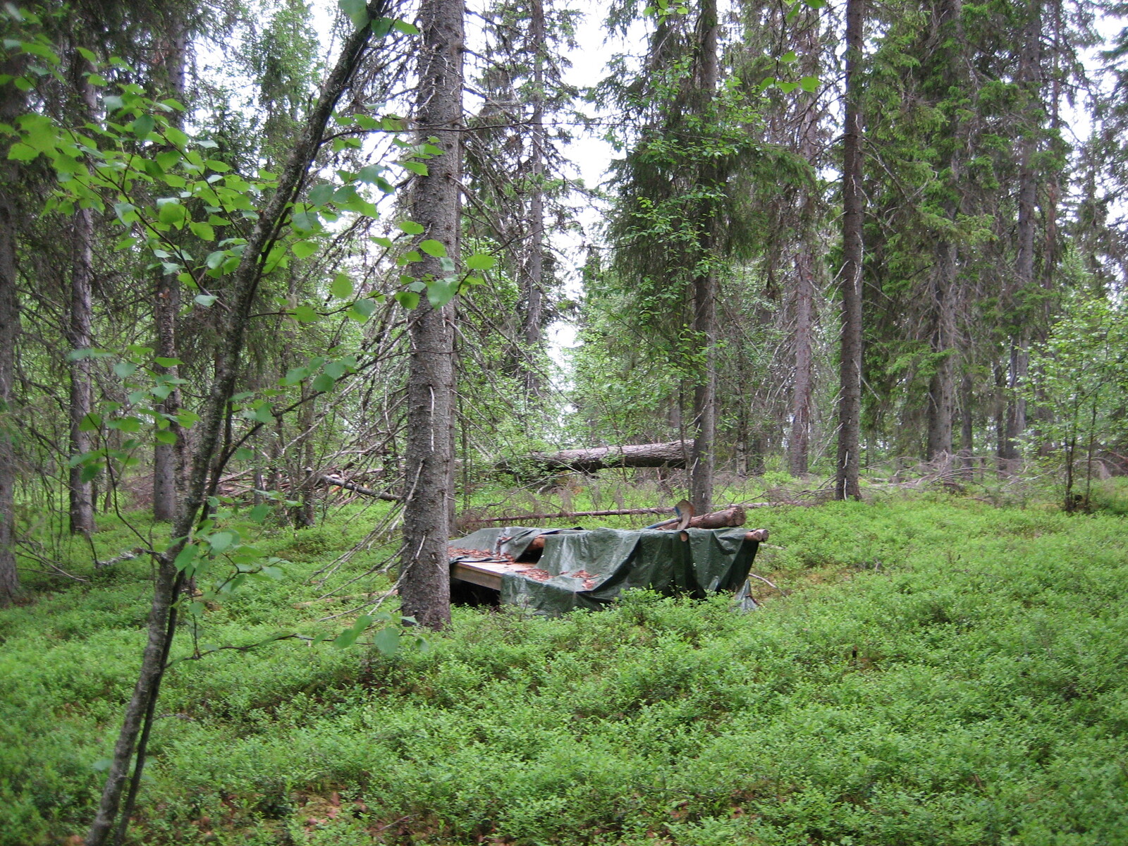 Tontilla myös rakentamiseen liittyvää tavaraa