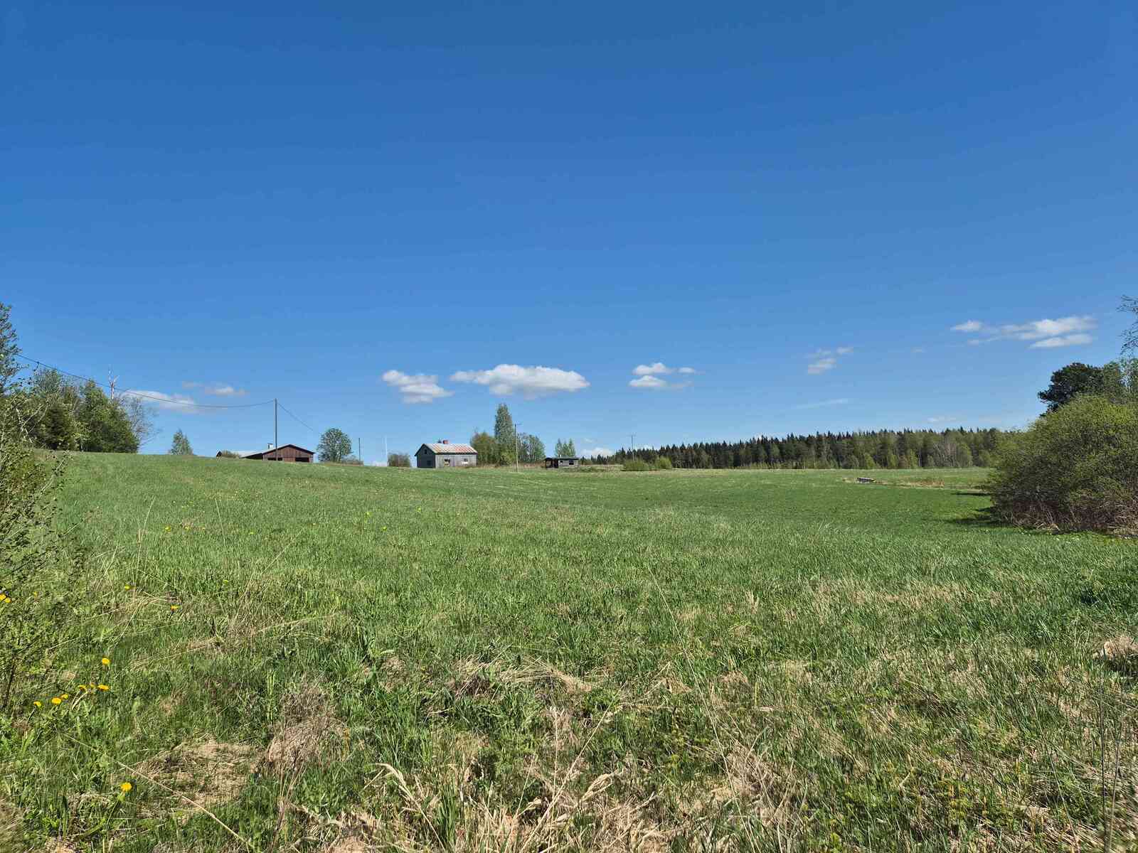 Maisema rannalta maatilan pihapiiriä kohti, rakennusten ympärillä on avarat peltomaisemat.