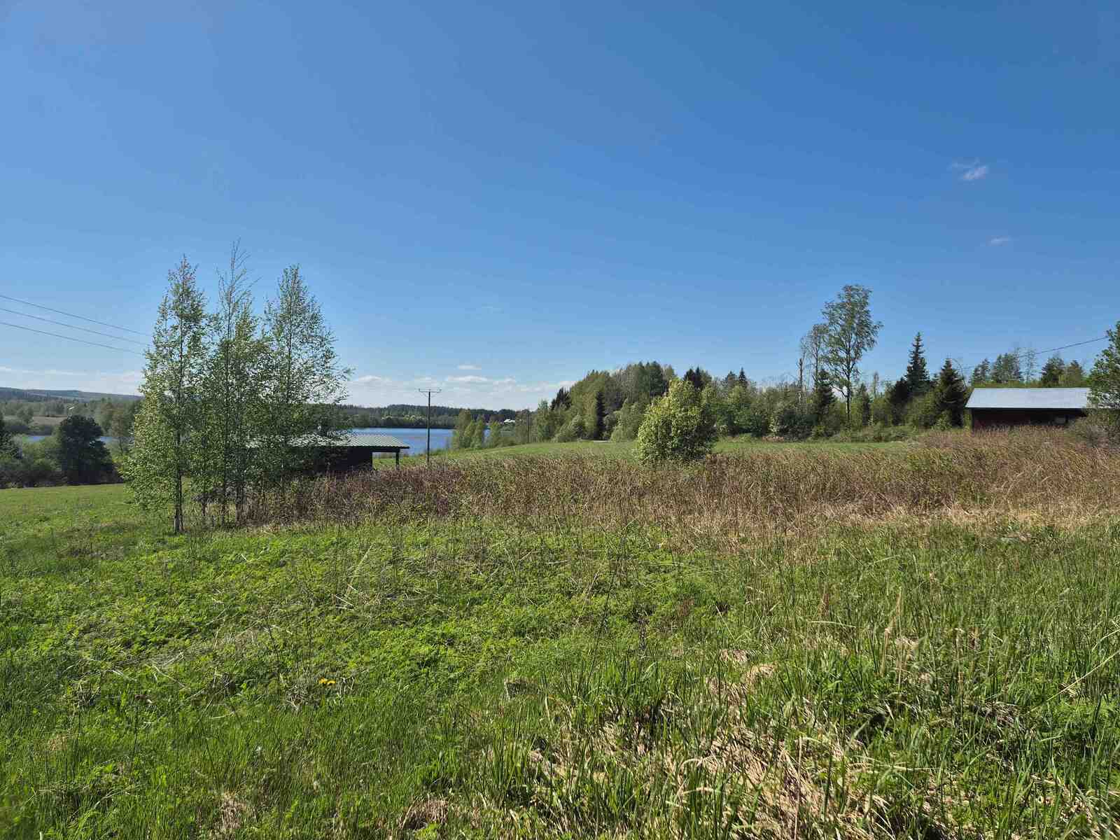 Vanhoja rakennuksia maalaismaisemassa, maassa kasvaa heinikkoa.