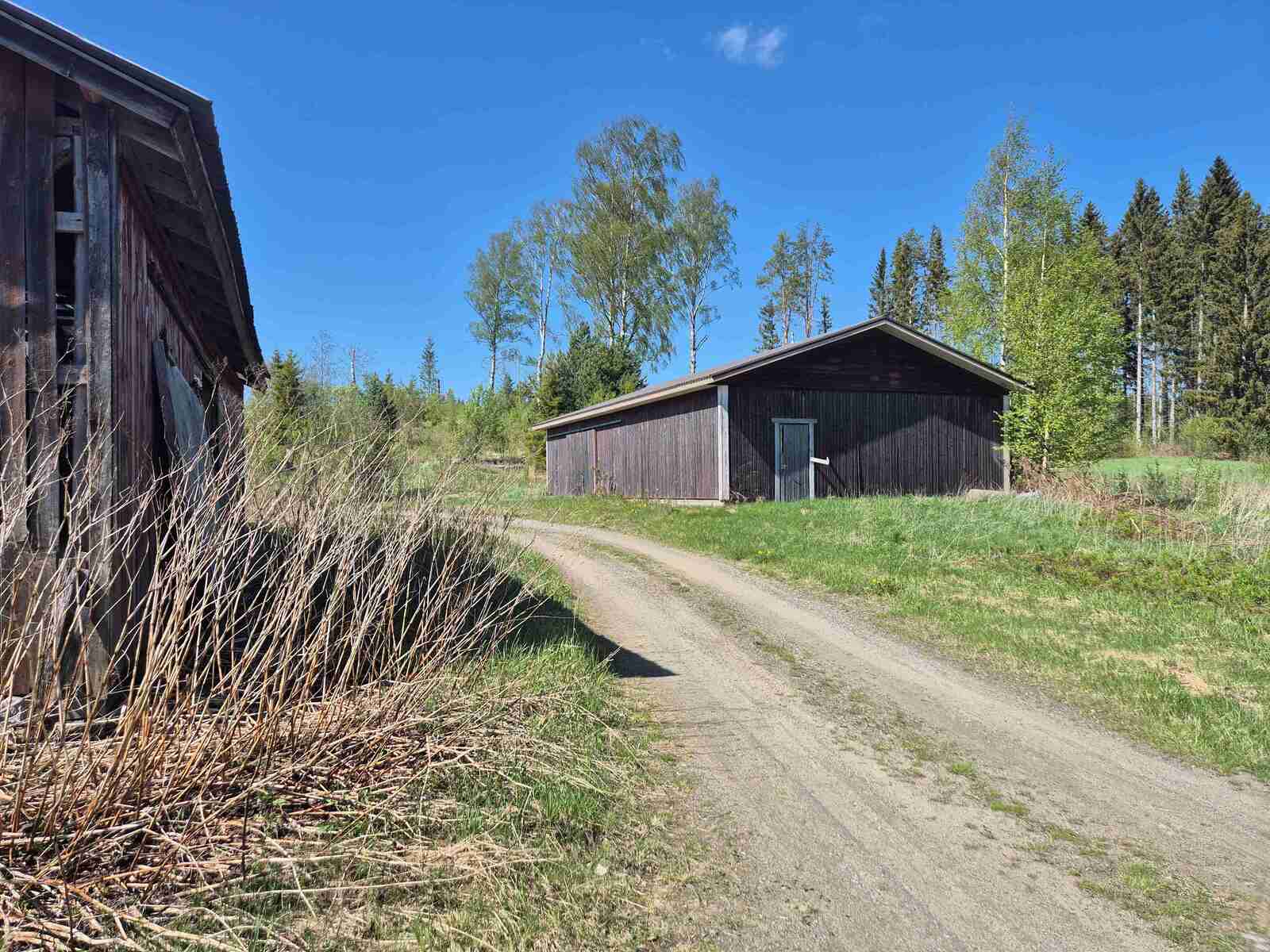 Vanha navetta jonka lautaseinät ovat jo huonossa kunnossa sekä varastohalli.