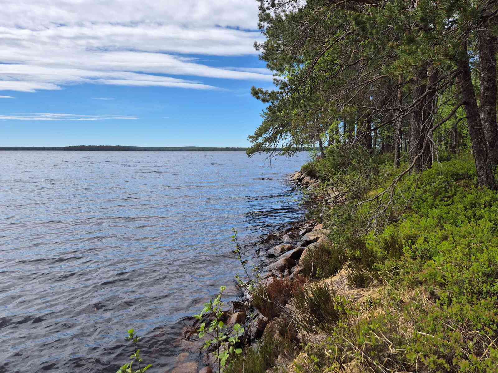 Kivinen Laakajärven rantaviiva, mantereella kasvaa havupuita.