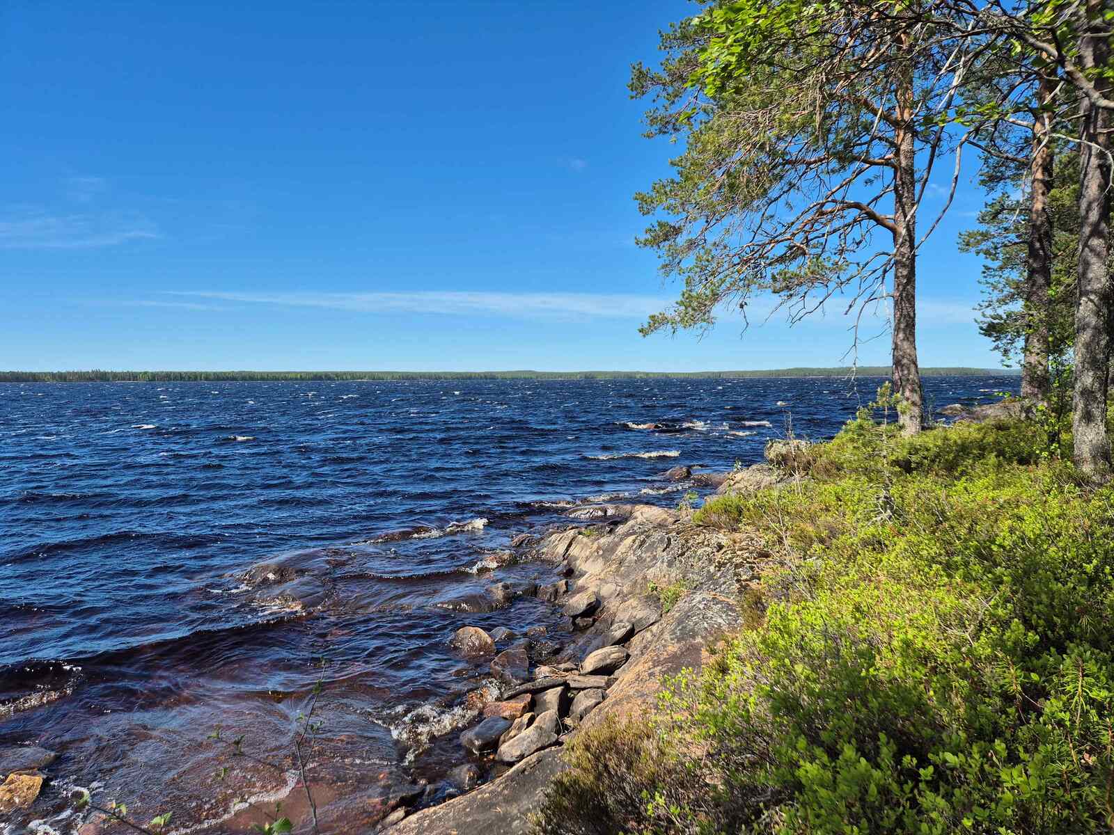 Rannassa on kalliota ja kiviä, mantereen puolella kasvaa mäntyjä ja kunttaa.