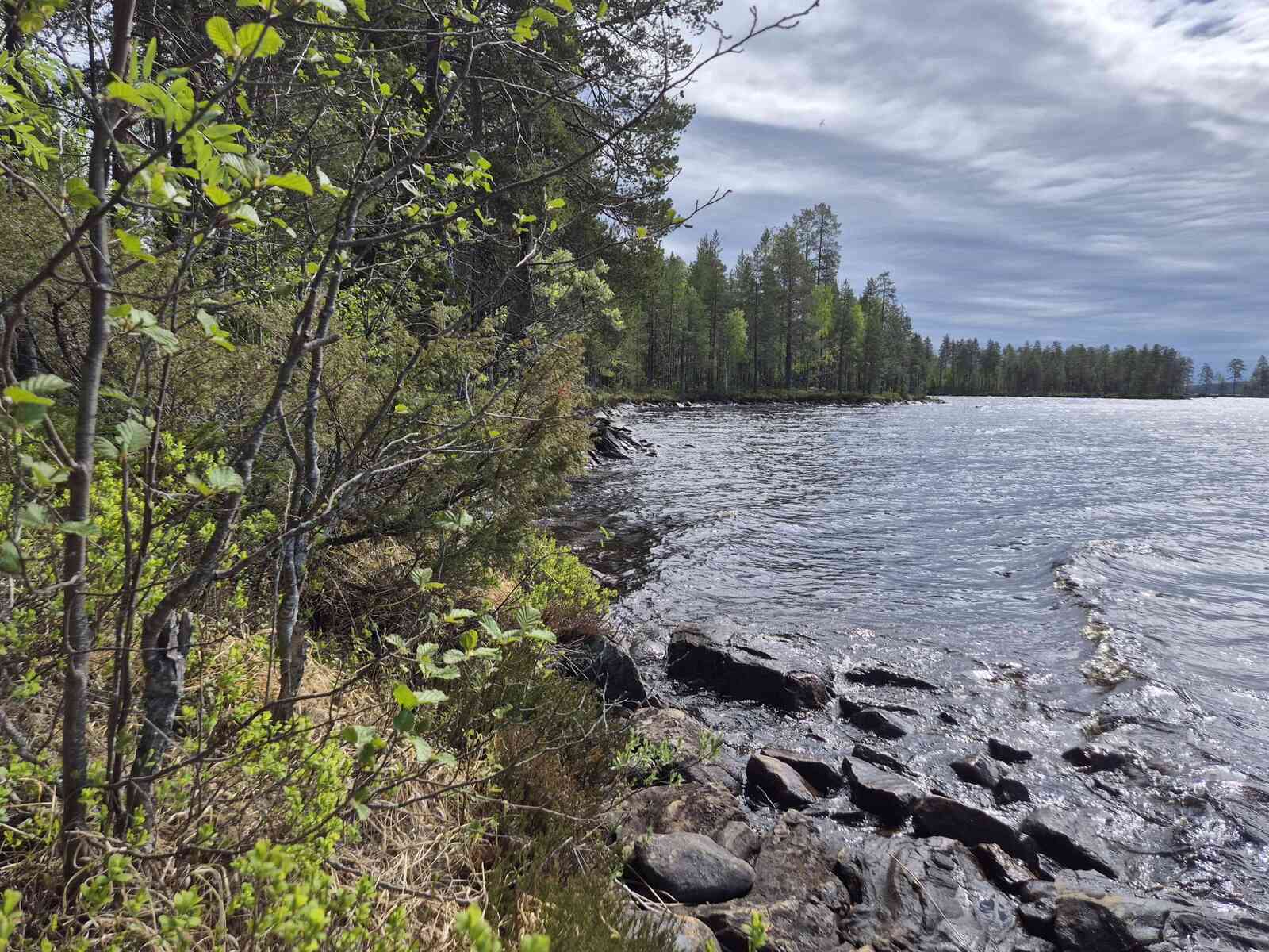 Tontin ranta on kivikkoinen, rantaviivassa mantereen puolella on rehevää kasvustoa.