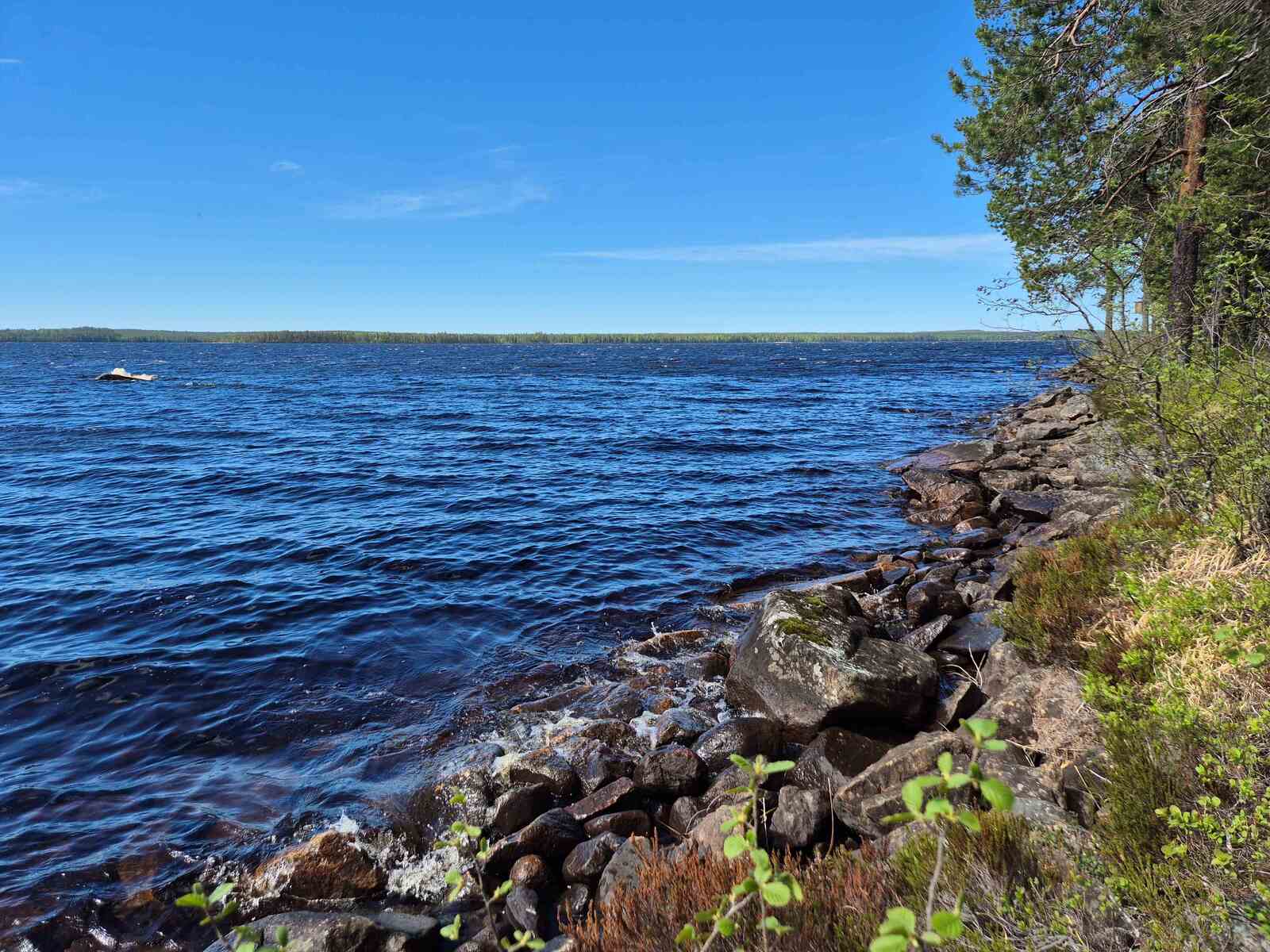 Kivikkoinen rantaviiva, taustalla järvi joka lainehtii tuulessa.