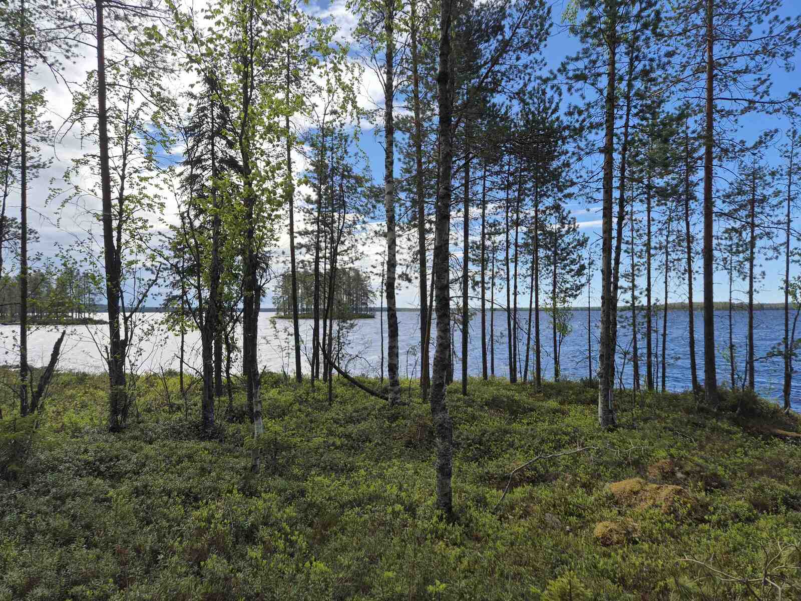 Rannan harvaa puustoa, aurinko paistaa pilvien raosta, taustalla näkyy järvi ja saari.