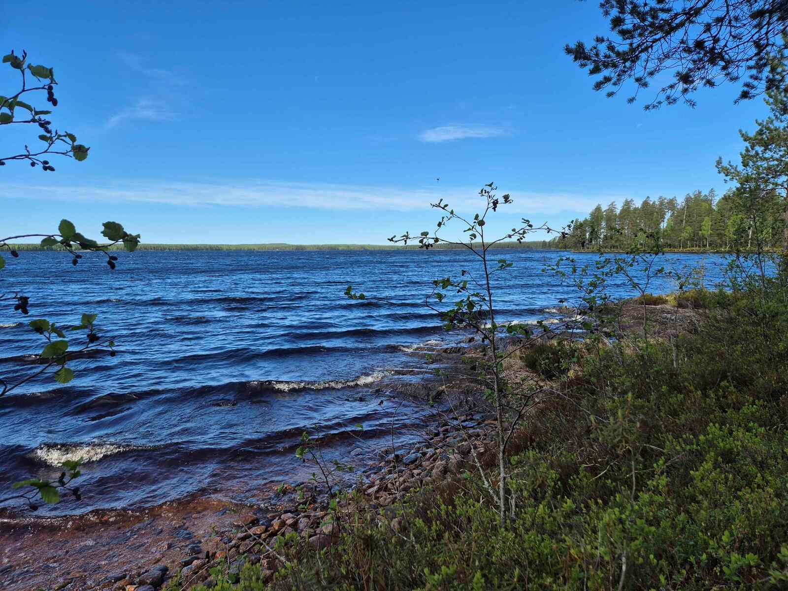 Vaahtopäinä laineileva Laakajärvi, tontin rannassa on paljon pieniä kiviä.
