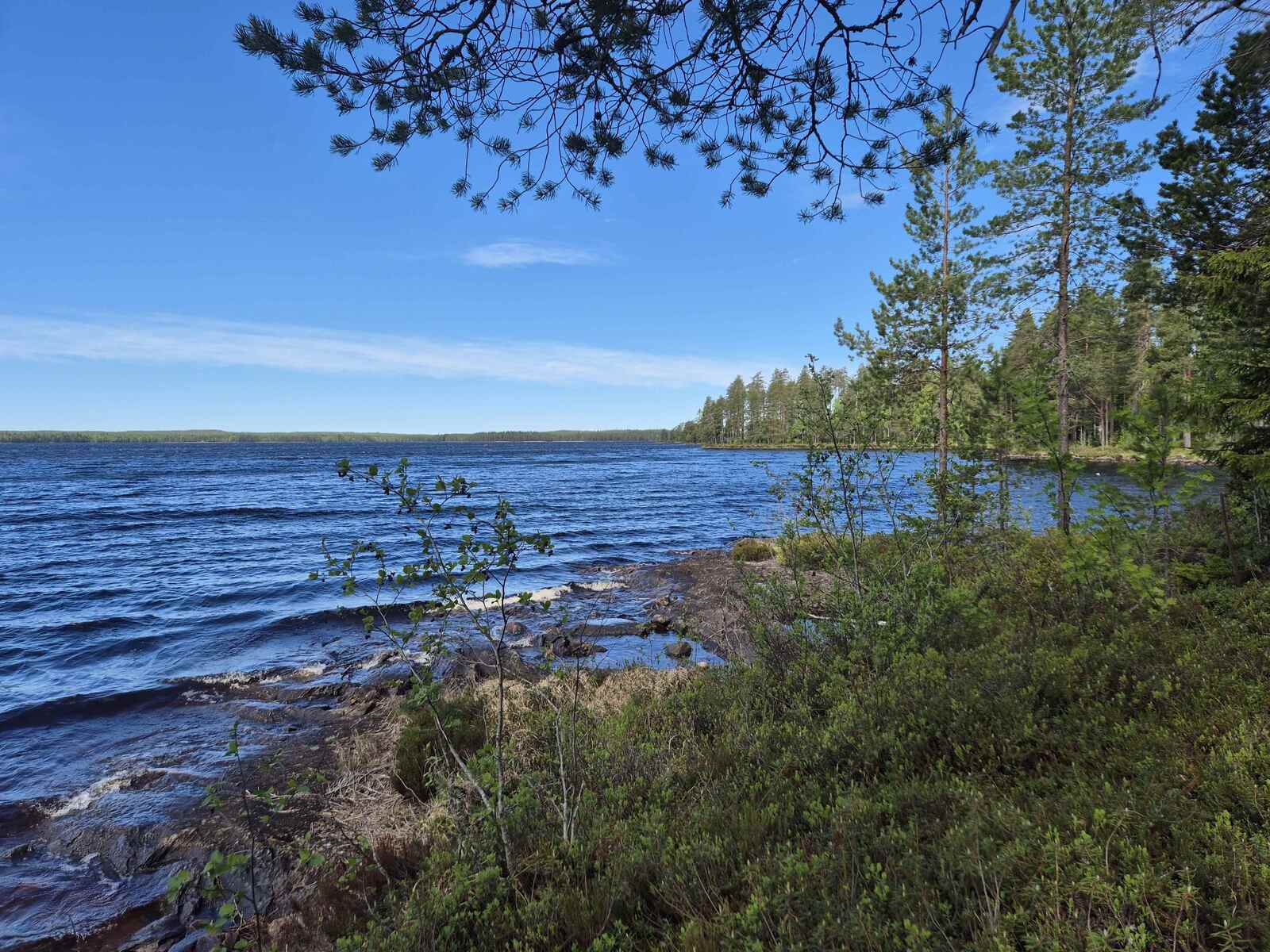 Vaahtopäinä laineileva Laakajärvi, tontin ranta on kallioinen.