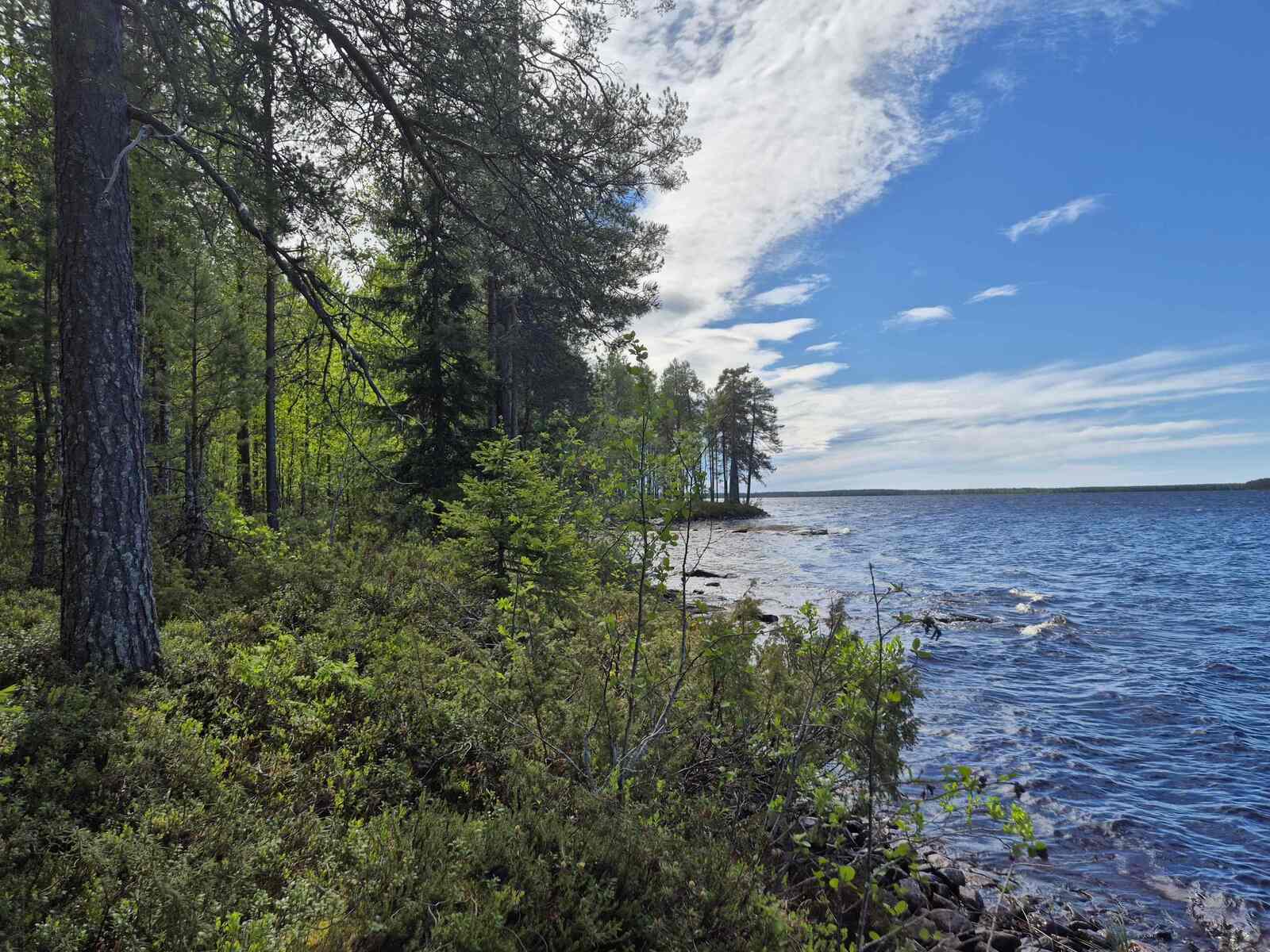 Tontin rantaviivassa kasvaa järeitä puita, taivaalla on hentoisia pilviä.