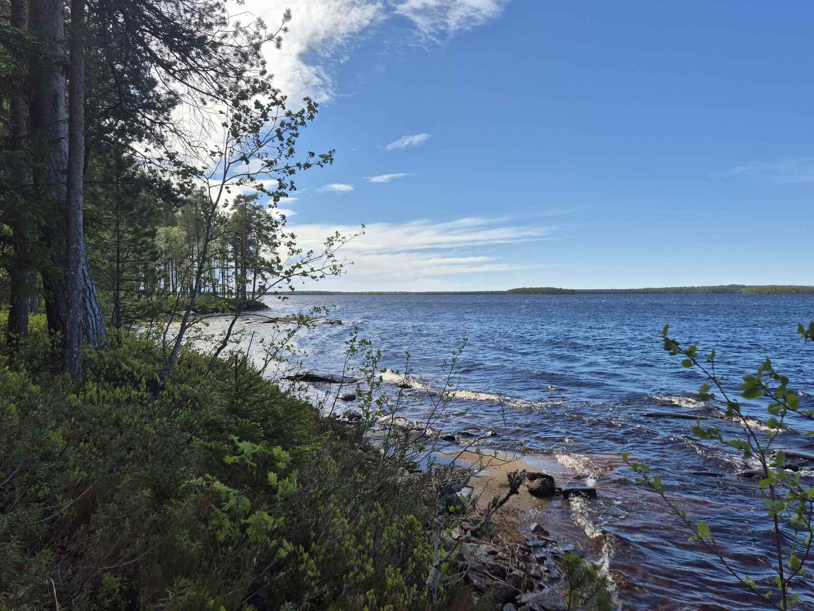 Näkymiä ulapalle, rannalla kasvaa puita, tontin ranta on hiekkainen.