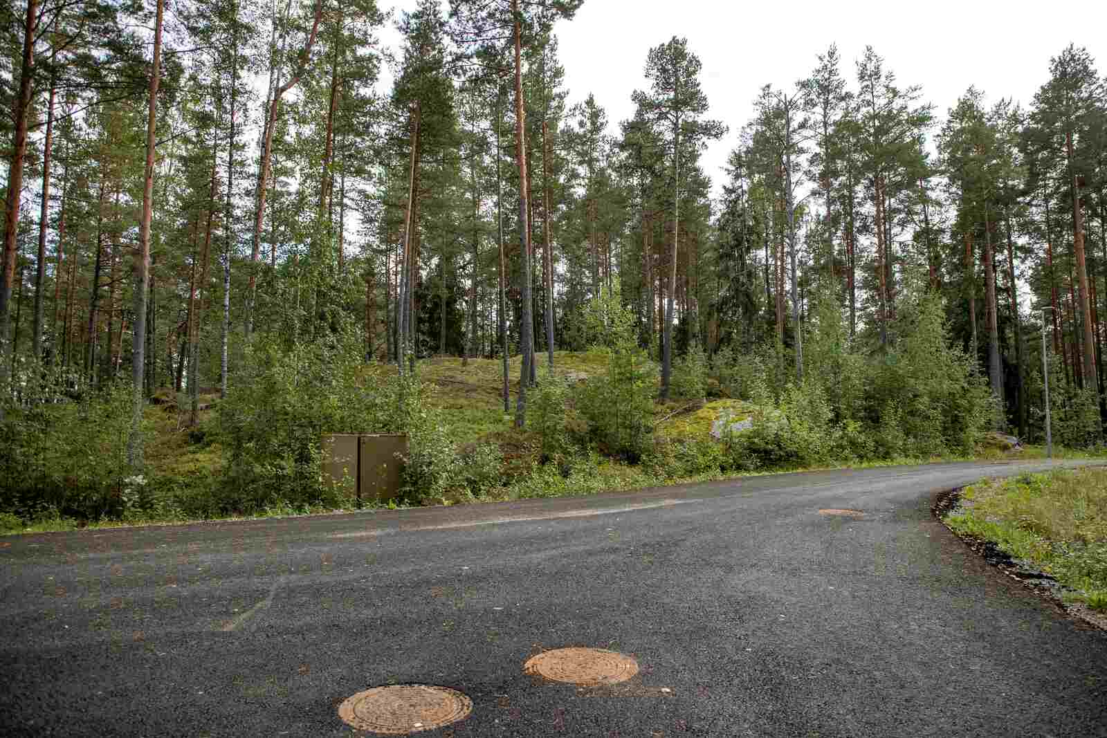 Kadun laidasta alkaa  laidasta alkaa kumpuilevan kallioinen mäntymetsä.
