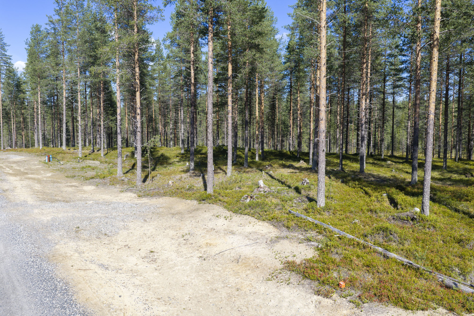Tie ja tontille johtava liittymä.