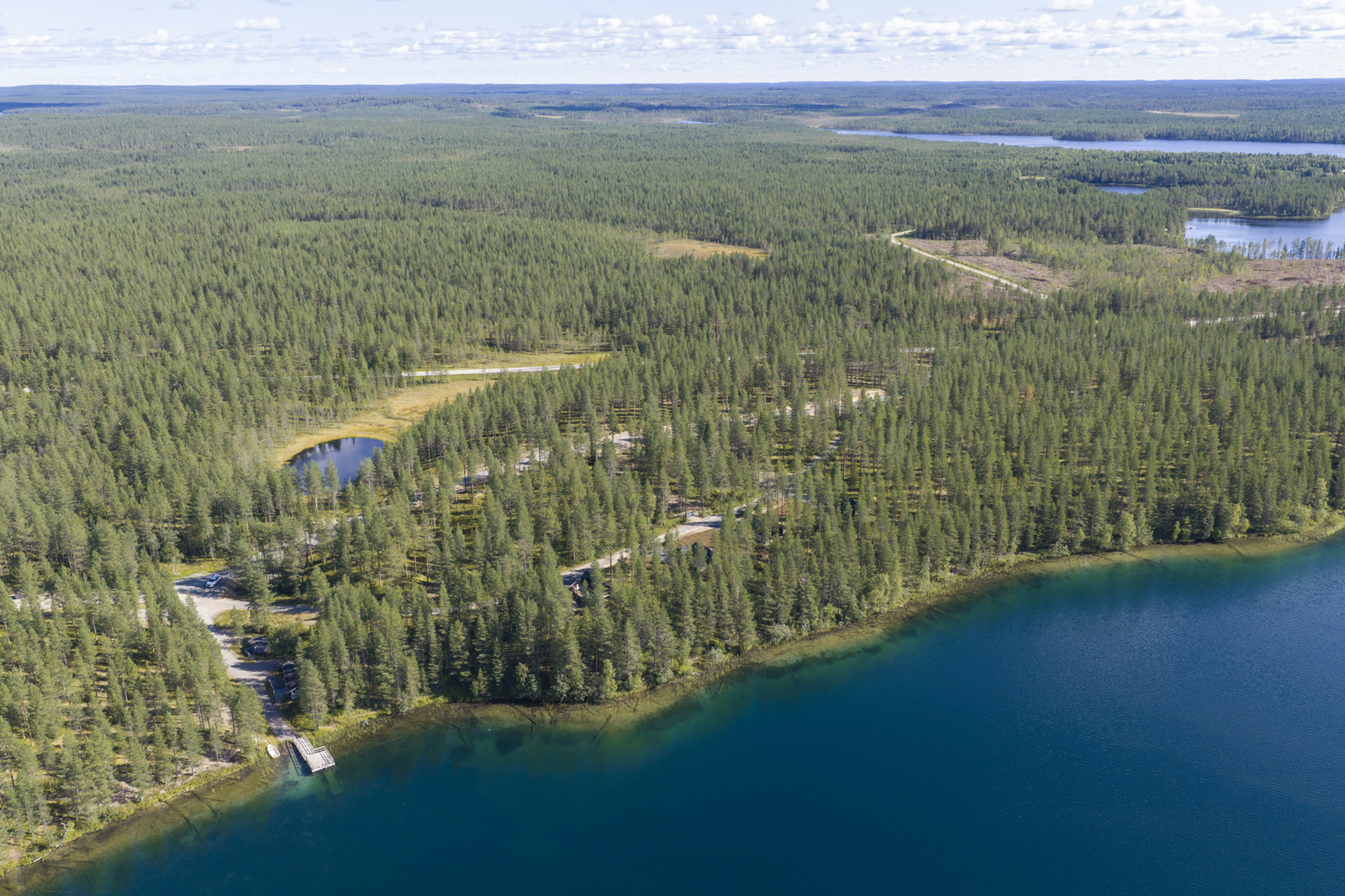 Järven suunnalta otettu ilmakuva kesäisestä, horisonttiin jatkuvasta metsästä.Ilmakuva.