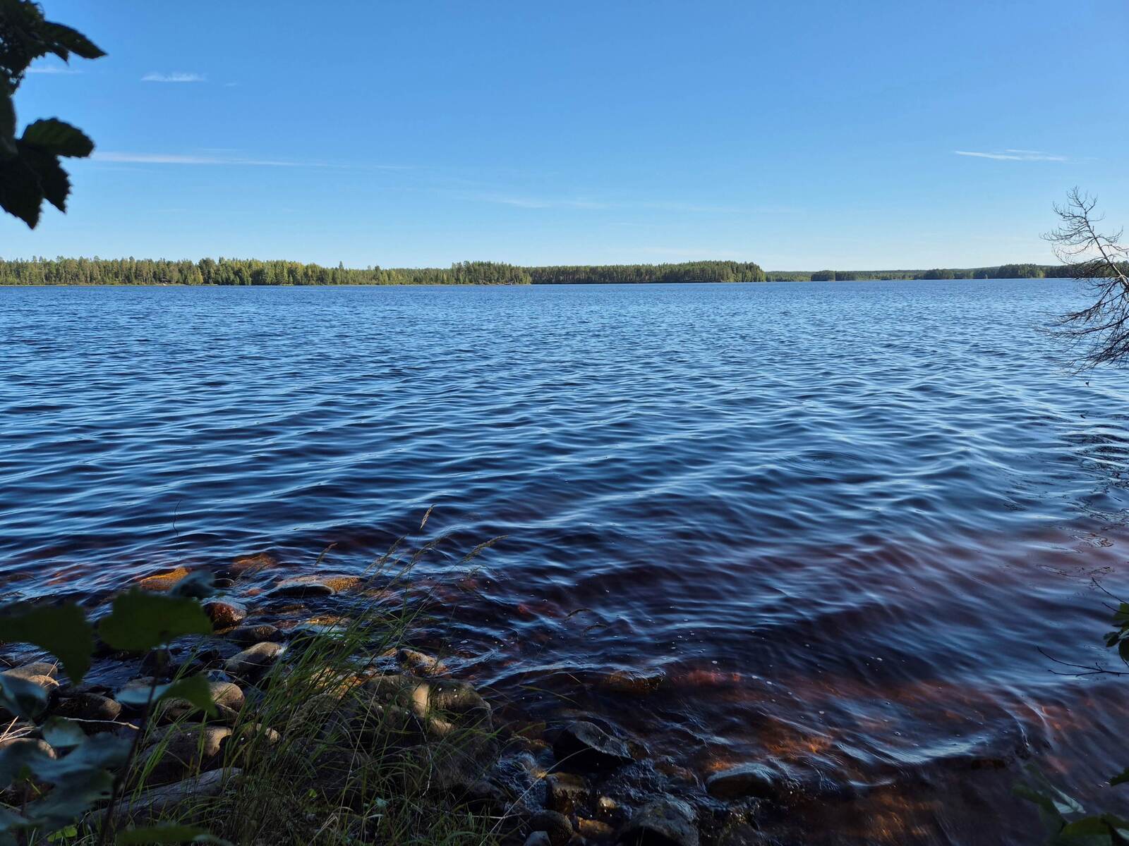 Järvimaisema, vesi aaltoilee, rannassa on kiviä.
